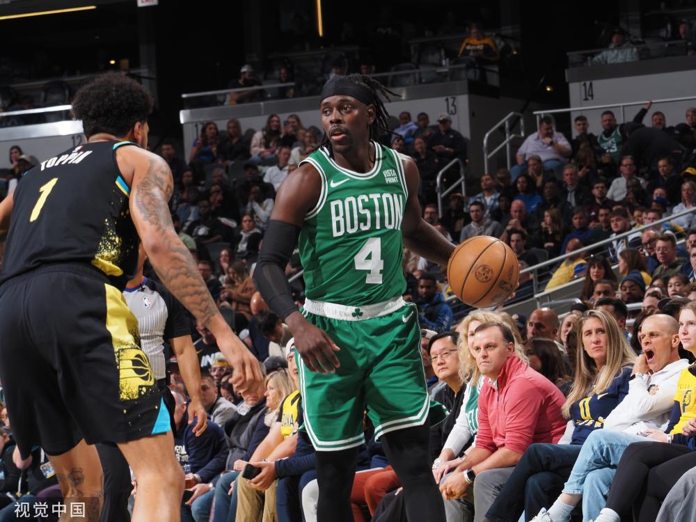 大型兔子 大型兔子